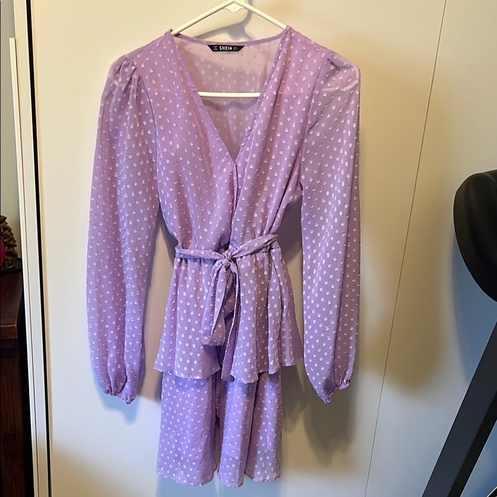 Cute Sheer Lilac Polka Dot Belted Dress